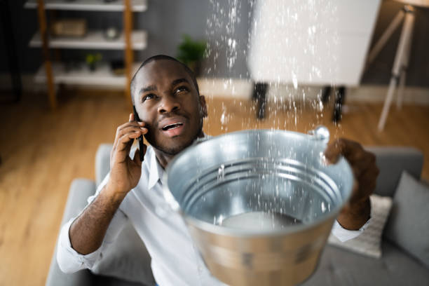 Best Flood damage cleanup  in Wadena, MN