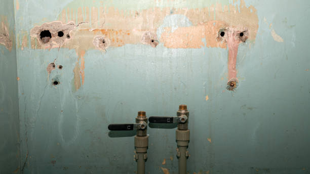 Best Residential water damage restoration  in Wadena, MN