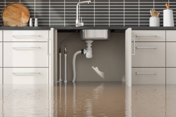 Best Water damage restoration process  in Wadena, MN