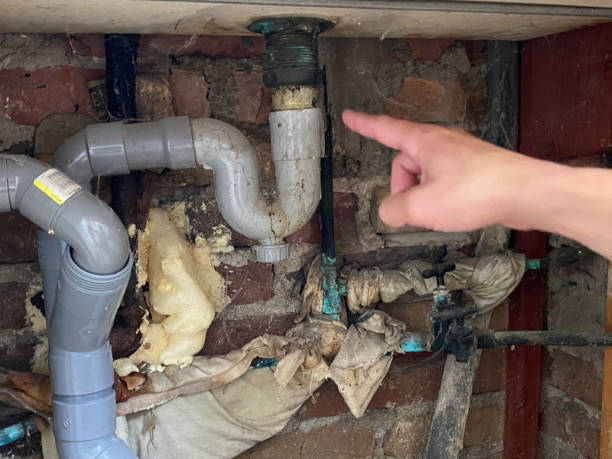 Best Carpet water damage restoration  in Wadena, MN