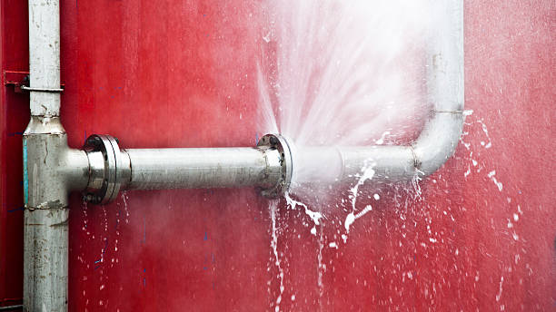 Reliable Wadena, MN Water damage restoration Solutions